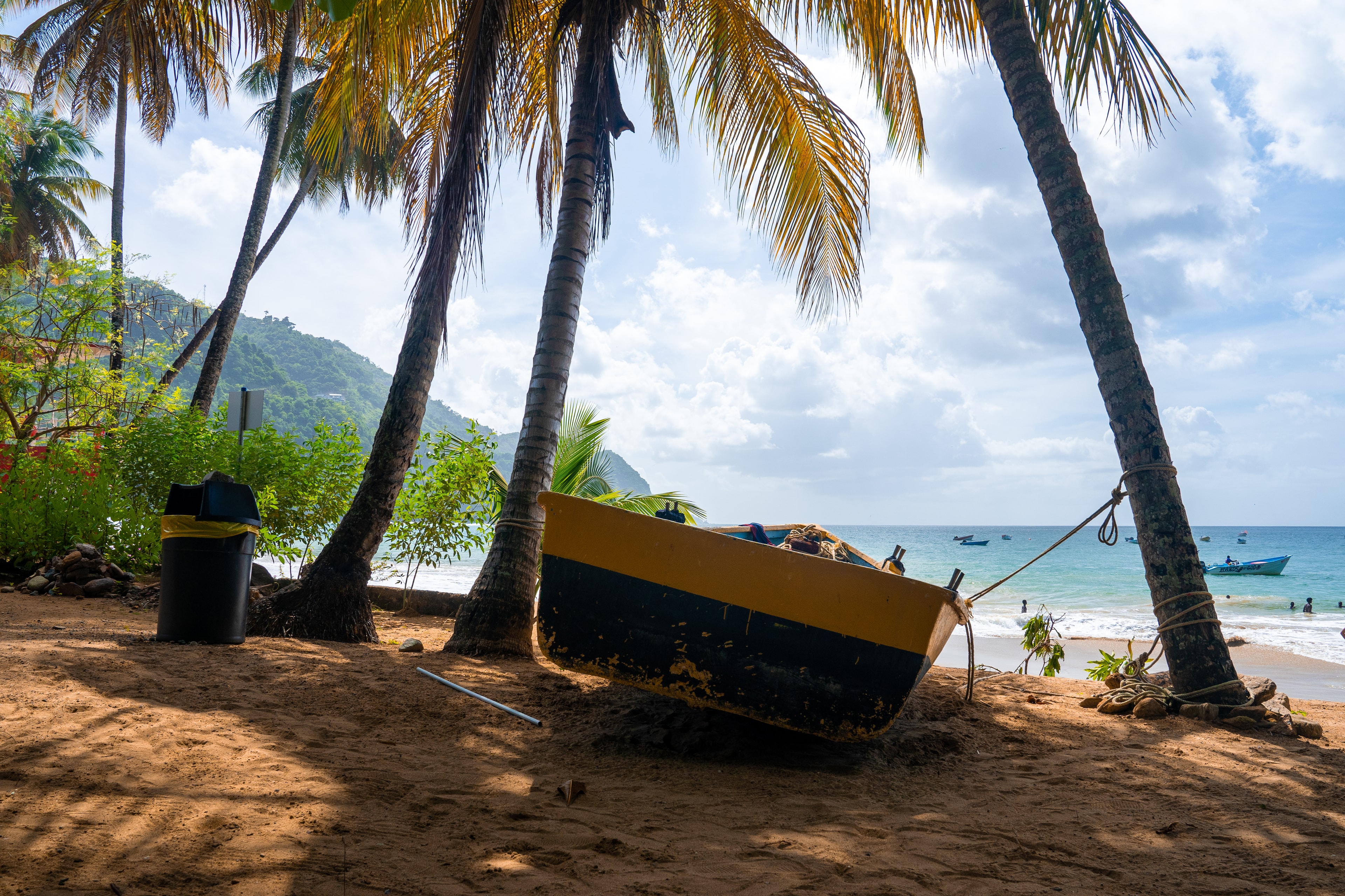 Beautiful Tobago Beach with palm trees and crystal clear water